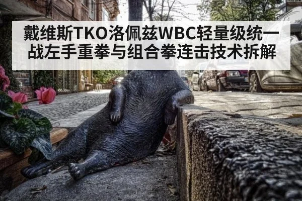 戴维斯TKO洛佩兹WBC轻量级统一战左手重拳与组合拳连击技术拆解