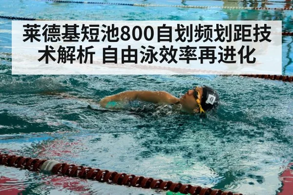 莱德基短池800自划频划距技术解析 自由泳效率再进化